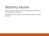 Pirmieji skaičiuotuvai 2 puslapis