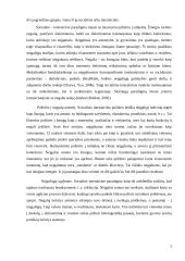 Socialinis – interakcinis požiūris į negalią 2 puslapis