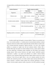 Socialinis – interakcinis požiūris į negalią 6 puslapis