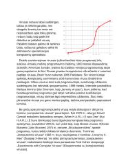 Kompiuterinių virusų referatas 5 puslapis