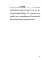 Žemėlapiai 11 puslapis