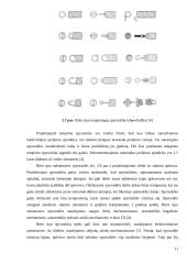 Spyruoklės gamybos evoliucija 11 puslapis