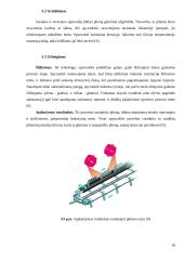 Spyruoklės gamybos evoliucija 16 puslapis