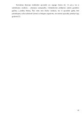 Spyruoklės gamybos evoliucija 19 puslapis