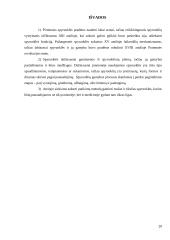 Spyruoklės gamybos evoliucija 20 puslapis