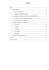 Spyruoklės gamybos evoliucija 3 puslapis