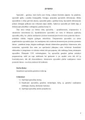 Spyruoklės gamybos evoliucija 4 puslapis