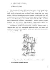 Spyruoklės gamybos evoliucija 5 puslapis