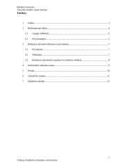 Reklama internete referatas 2 puslapis