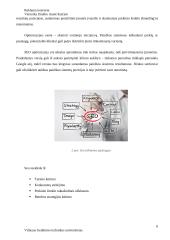 Reklama internete referatas 6 puslapis