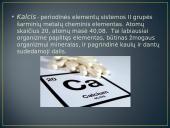 Kalcis skaidrės 2 puslapis