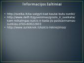 Kalcis skaidrės 11 puslapis