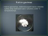 Kalcis skaidrės 3 puslapis