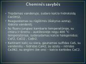 Kalcis skaidrės 5 puslapis