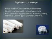 Kalcis skaidrės 6 puslapis