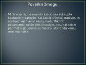 Kalcis skaidrės 7 puslapis