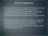 Kalcis skaidrės 9 puslapis