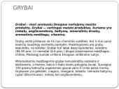 Apie grybus 2 puslapis