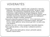 Apie grybus 4 puslapis