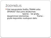 Apie grybus 6 puslapis
