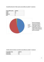Anketinė apklausa. Kokios markės automobiliai patinka žmonėms? 14 puslapis
