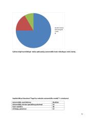 Anketinė apklausa. Kokios markės automobiliai patinka žmonėms? 19 puslapis