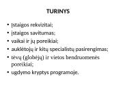 Ugdymo įstaigos programos analizė  2 puslapis