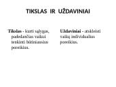 Ugdymo įstaigos programos analizė  11 puslapis