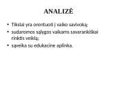 Ugdymo įstaigos programos analizė  12 puslapis