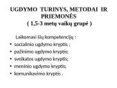 Ugdymo įstaigos programos analizė  13 puslapis