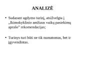 Ugdymo įstaigos programos analizė  14 puslapis