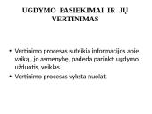 Ugdymo įstaigos programos analizė  15 puslapis