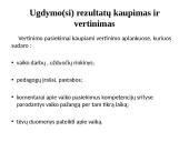 Ugdymo įstaigos programos analizė  16 puslapis