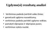 Ugdymo įstaigos programos analizė  17 puslapis