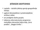 Ugdymo įstaigos programos analizė  3 puslapis