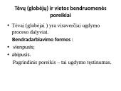 Ugdymo įstaigos programos analizė  6 puslapis