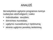 Ugdymo įstaigos programos analizė  8 puslapis