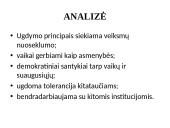 Ugdymo įstaigos programos analizė  10 puslapis