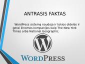 WordPress 11 puslapis