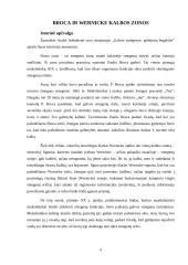 Wernicke ir Broca kalbos zonos ir jų reikšmė 4 puslapis