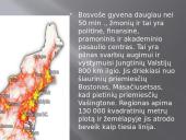 Bosvašo megapolis 4 puslapis