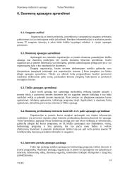 Duomenų valdymas ir apsauga 14 puslapis