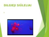 Koralai ir medūzos 4 puslapis