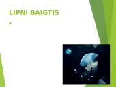 Koralai ir medūzos 5 puslapis