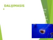 Koralai ir medūzos 6 puslapis