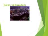Koralai ir medūzos 10 puslapis