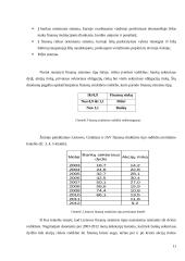 Finansų sistemų ypatumai 11 puslapis