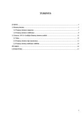 Finansų sistemų ypatumai 3 puslapis