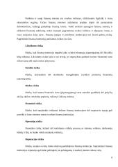 Finansų sistemų ypatumai 8 puslapis