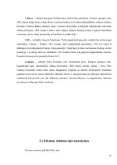 Finansų sistemų ypatumai 10 puslapis